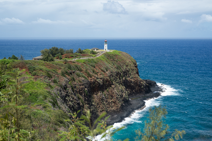 Kilauea Lighthouse Trail kauai north shore