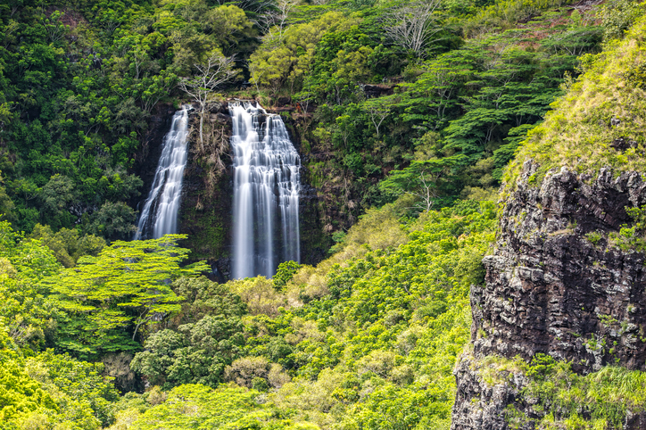 opaekaa waterfall kauai